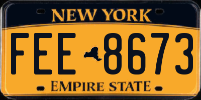 NY license plate FEE8673
