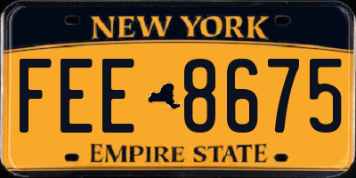 NY license plate FEE8675