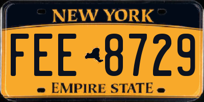 NY license plate FEE8729