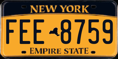 NY license plate FEE8759
