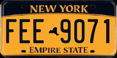 NY license plate FEE9071