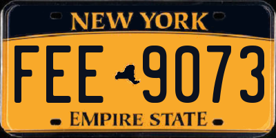 NY license plate FEE9073