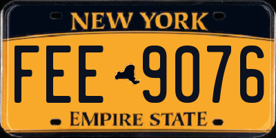 NY license plate FEE9076