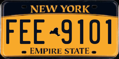 NY license plate FEE9101