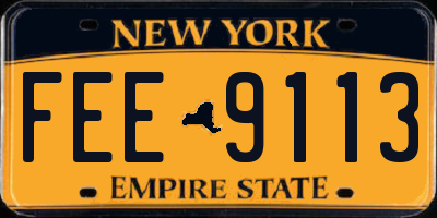 NY license plate FEE9113