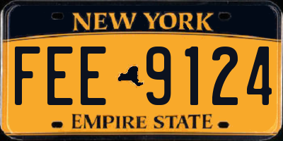 NY license plate FEE9124
