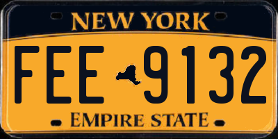 NY license plate FEE9132