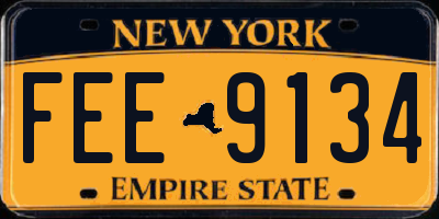 NY license plate FEE9134