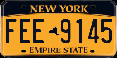 NY license plate FEE9145