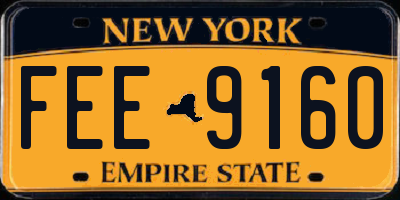 NY license plate FEE9160