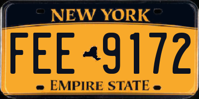 NY license plate FEE9172