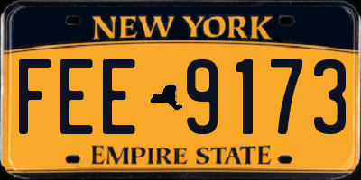 NY license plate FEE9173