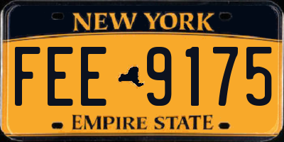 NY license plate FEE9175