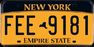 NY license plate FEE9181