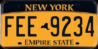 NY license plate FEE9234