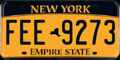 NY license plate FEE9273