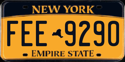 NY license plate FEE9290