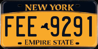 NY license plate FEE9291