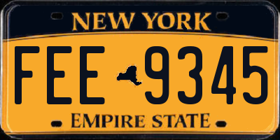 NY license plate FEE9345