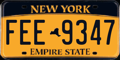 NY license plate FEE9347