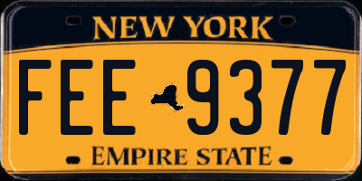 NY license plate FEE9377