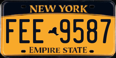 NY license plate FEE9587
