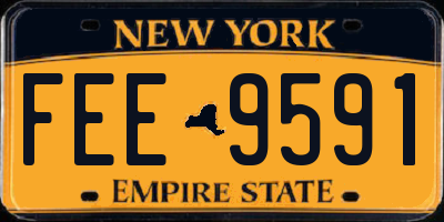 NY license plate FEE9591