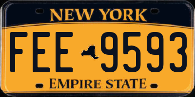 NY license plate FEE9593