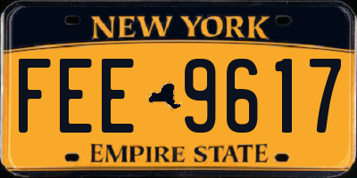 NY license plate FEE9617