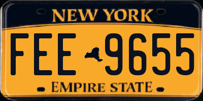 NY license plate FEE9655