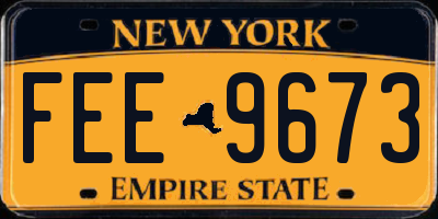NY license plate FEE9673