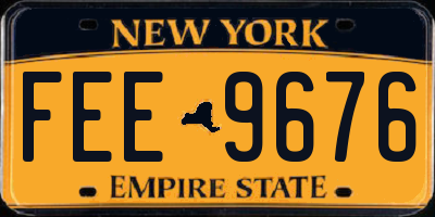 NY license plate FEE9676