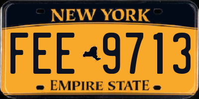 NY license plate FEE9713