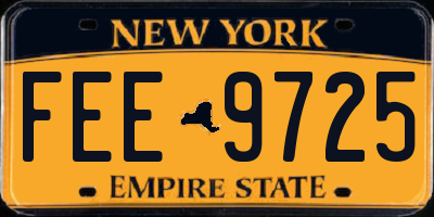 NY license plate FEE9725