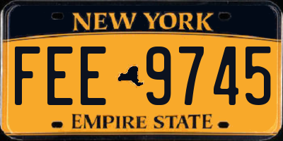 NY license plate FEE9745