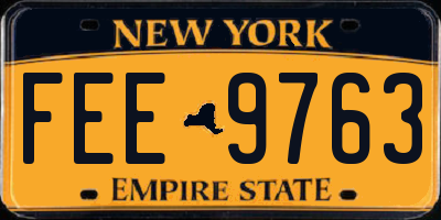 NY license plate FEE9763