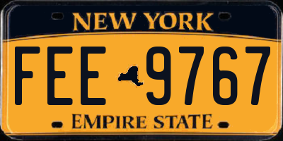 NY license plate FEE9767