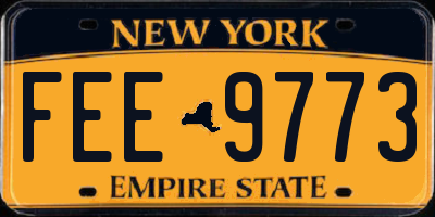 NY license plate FEE9773