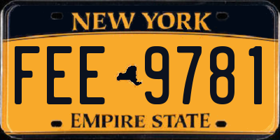NY license plate FEE9781