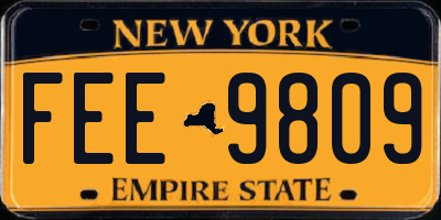 NY license plate FEE9809