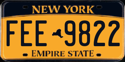 NY license plate FEE9822