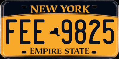 NY license plate FEE9825