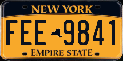 NY license plate FEE9841