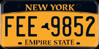 NY license plate FEE9852