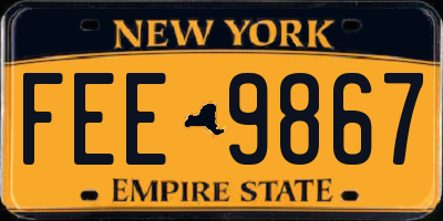 NY license plate FEE9867