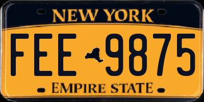 NY license plate FEE9875
