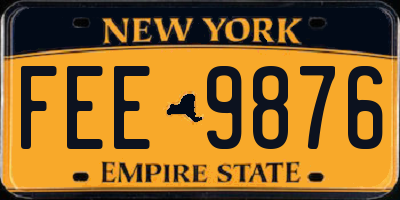 NY license plate FEE9876