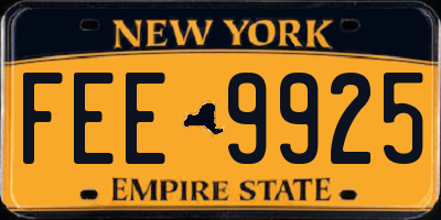 NY license plate FEE9925