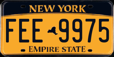 NY license plate FEE9975