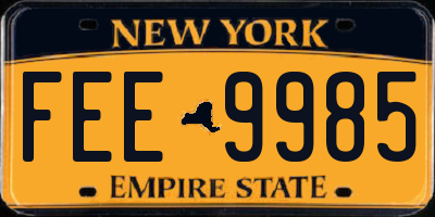 NY license plate FEE9985